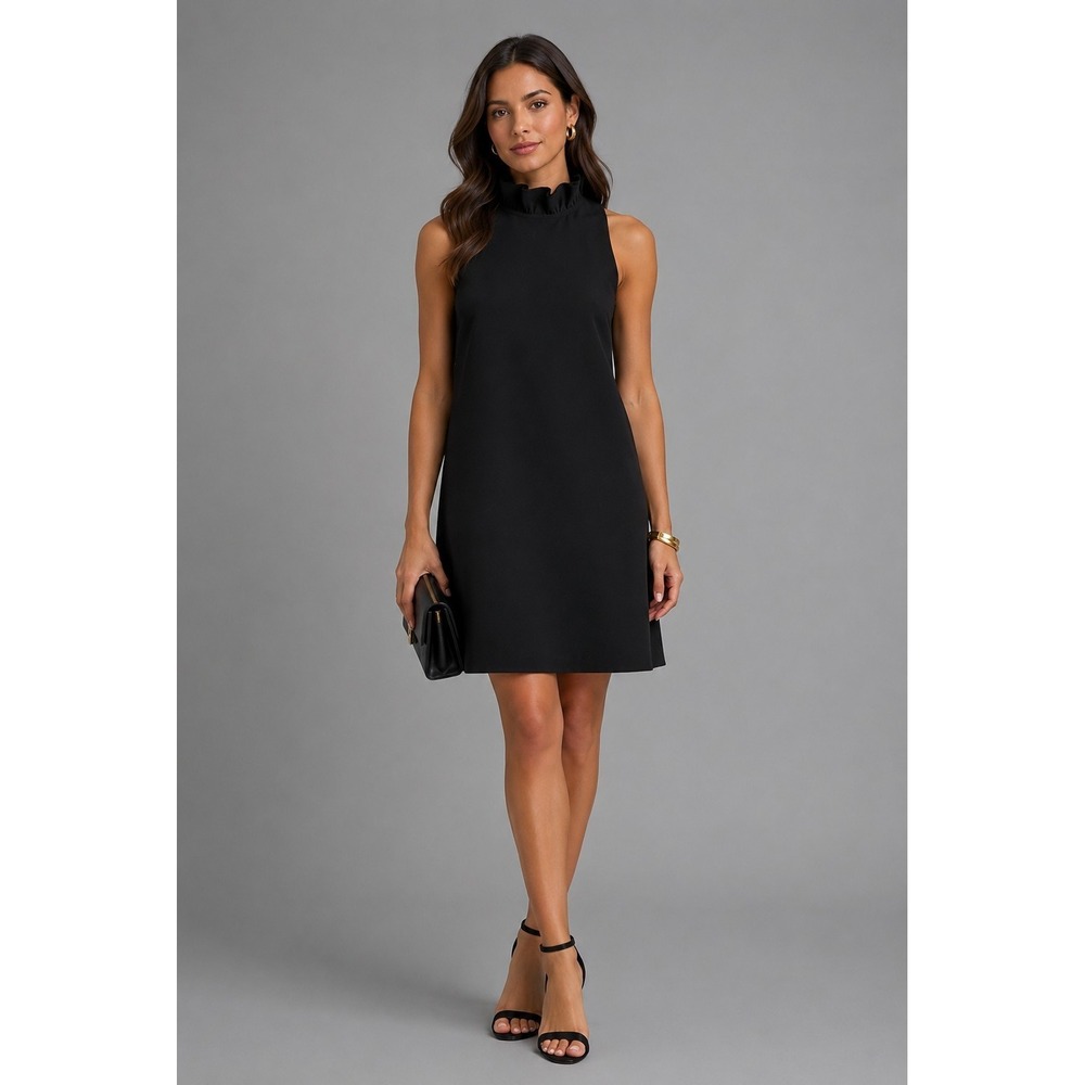 Tuckernuck Dress Womens Size Large Black Ruffle Tie Bow Neck Blythe